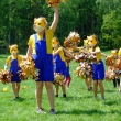 Cvikovsk� H�m�n� 2016