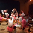 Up�rsk� ples �.Kamenice 2014
