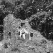 Hasi�tejn 20.7.2024