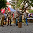 Cvikovsk� Ostrve 2015