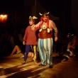 Ples �.Kamenice 2013